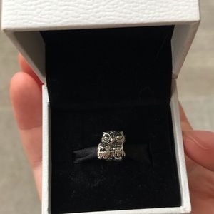 Owl charm